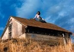 Roofing the tank with shingles.jpg